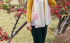 纯开小黄车小短文500字